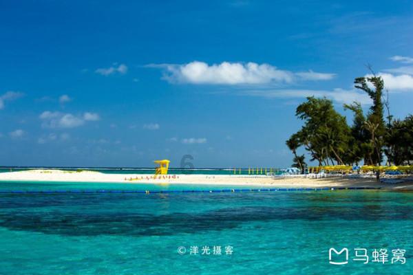 凝聚人心!意主帅说艾格努强大,安娃只能做替补!将冲击奥运冠军